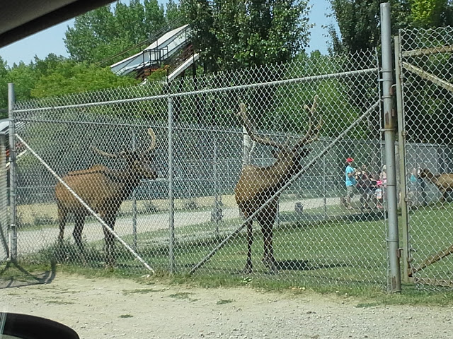 Evraz Park and Pool | 190, Zehner, SK S0G 5K0, Canada | Phone: (306) 924-7700