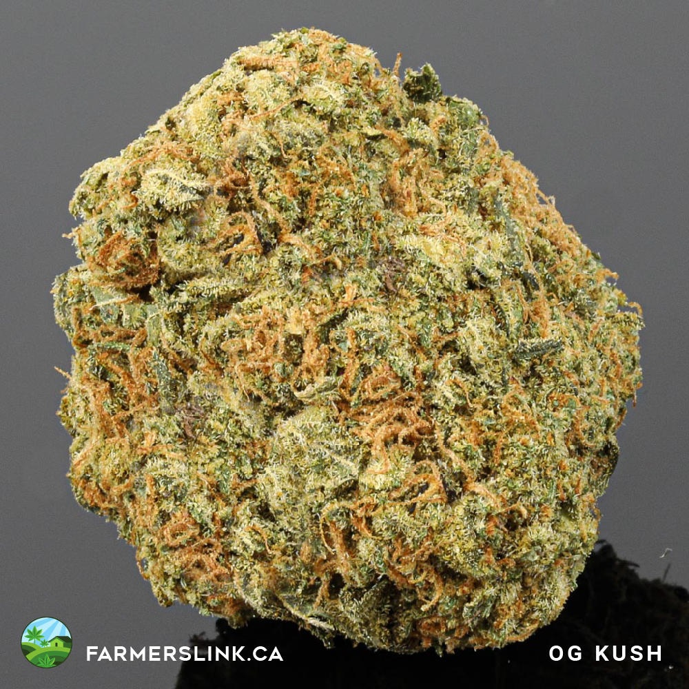 Farmers Link | Toronto West Dispensary | 463 Vaughan Rd, York, ON M6C 2P3, Canada | Phone: (647) 868-8888