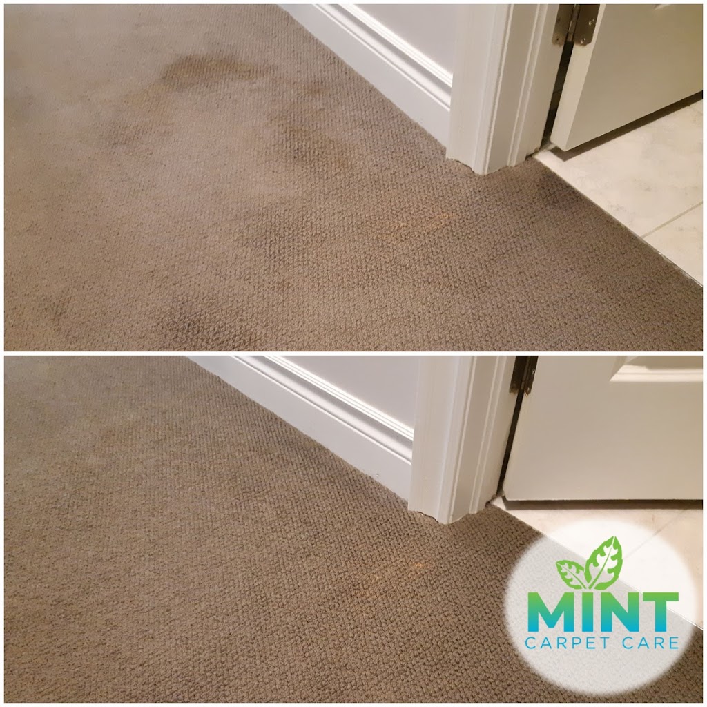 Mint Carpet Care | 317 Park Lawn Rd #28, Etobicoke, ON M8Y 3K2, Canada | Phone: (416) 828-3804