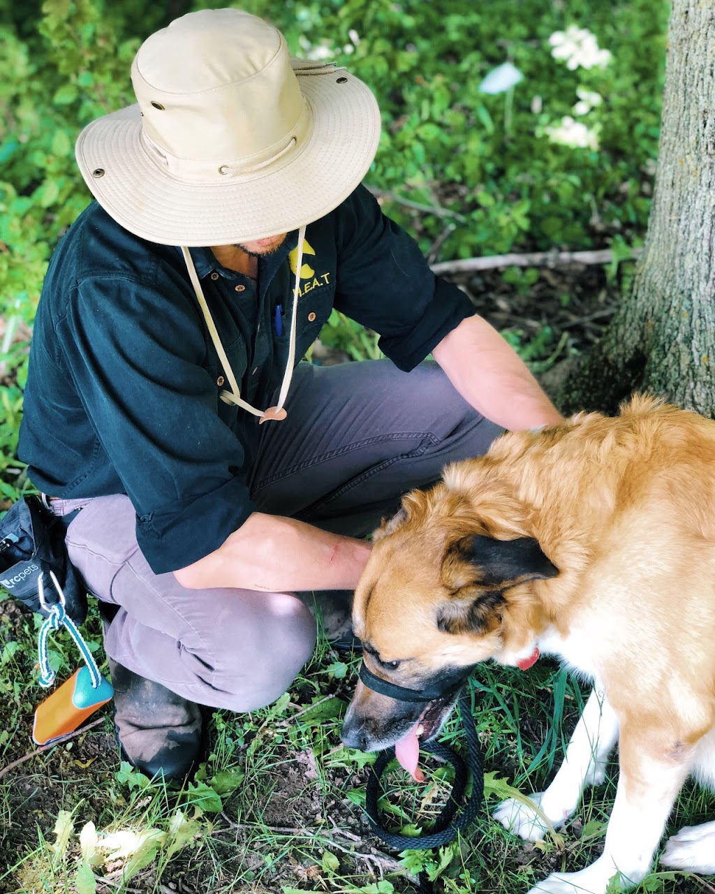 High Energy Animal Training (H.E.A.T.) | 7223 Longwoods Rd, London, ON N6P 1L2, Canada | Phone: (519) 200-5006