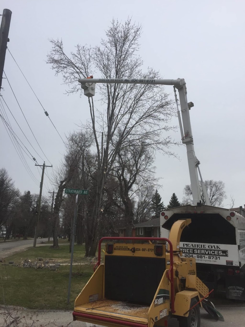 Prairie Oak Tree Services | 119 Hay Ave, Saint Andrews, MB R1A 2Z4, Canada | Phone: (204) 981-8731