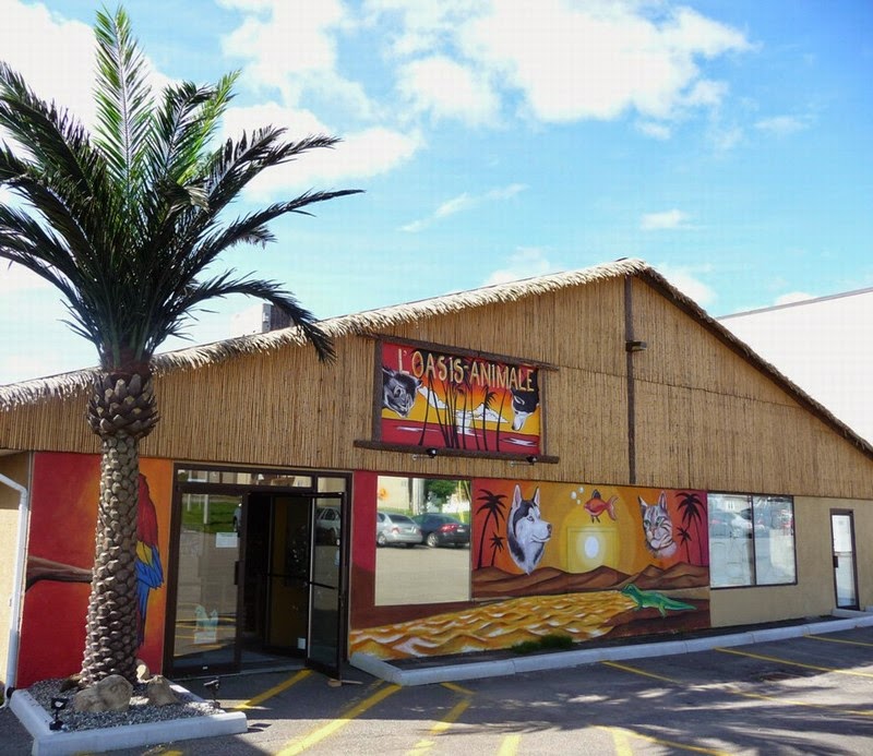Oasis Animale | 192 QC-138, Donnacona, QC G3M 1C2, Canada | Phone: (418) 285-2356