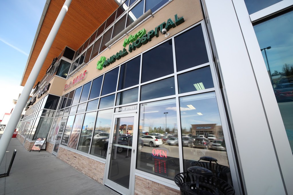 Mercy Animal Hospital | 15825 97 St NW, Edmonton, AB T5X 0C7, Canada | Phone: (780) 406-1400