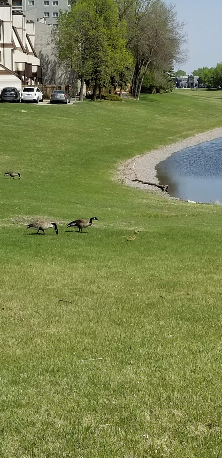 Baldry Creek Park | Fort Richmond, Winnipeg, MB R3T, Canada
