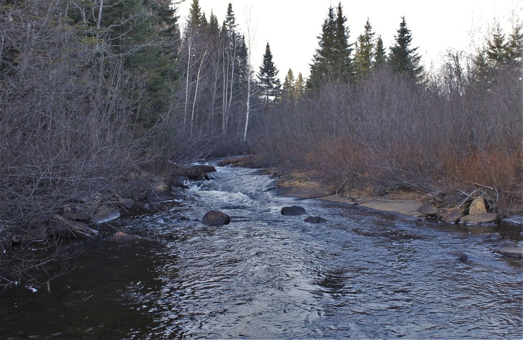 Zec des Nymphes | 4320 Chemin Brassard, Saint-Zénon, QC J0K 3N0, Canada | Phone: (450) 884-5478