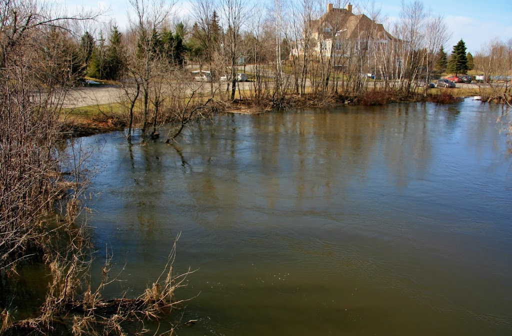 Le Cellier du Roi du Royal Bromont | 400 Chemin Compton, Bromont, QC J2L 1E9, Canada | Phone: (450) 534-4653