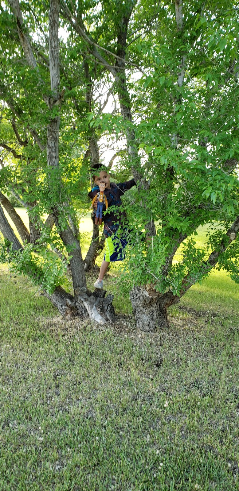 Blaine Lake Campground | Blaine Lake No. 434, SK S0J 0J0, Canada