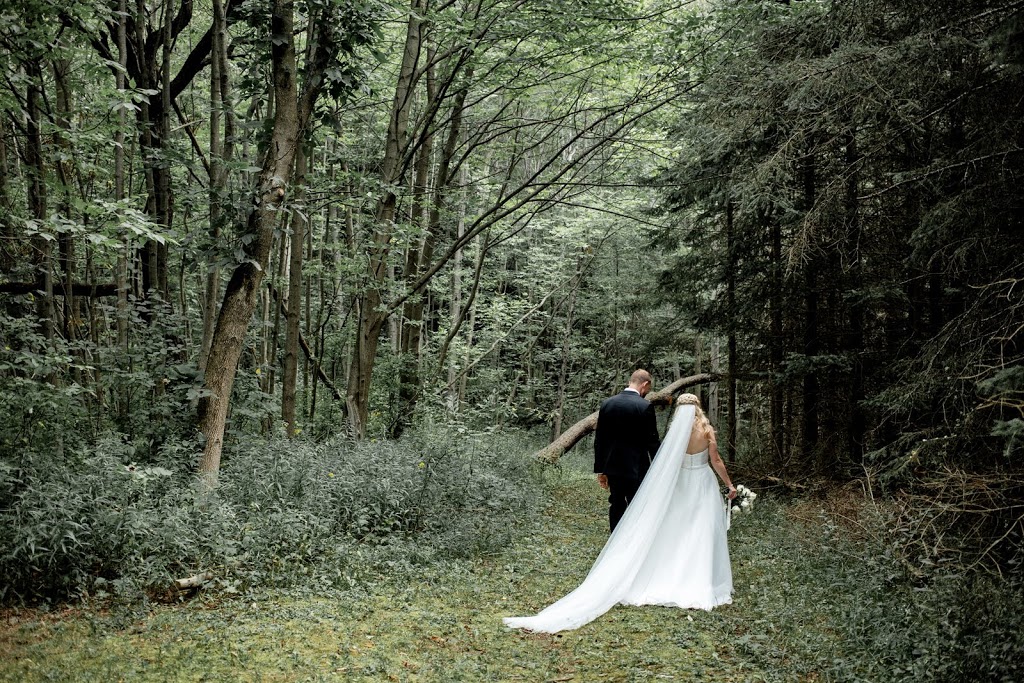 The Hollows Camp | 3155 Line 13, Bradford, ON L3Z 3P7, Canada | Phone: (905) 775-2694