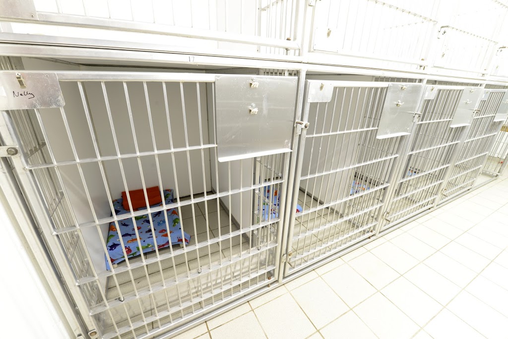 Auberge des 4 Pattes | 555 Rue Chef Thomas Martin, Wendake, QC G0A 4V0, Canada | Phone: (418) 843-6578