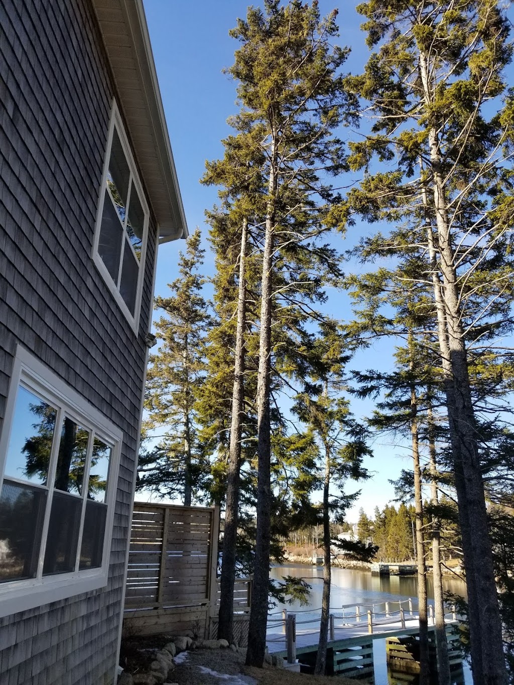 Shaded Tree Service | 10 Mountain Lee Rd, North River, NS B6L 6G8, Canada | Phone: (902) 890-2081