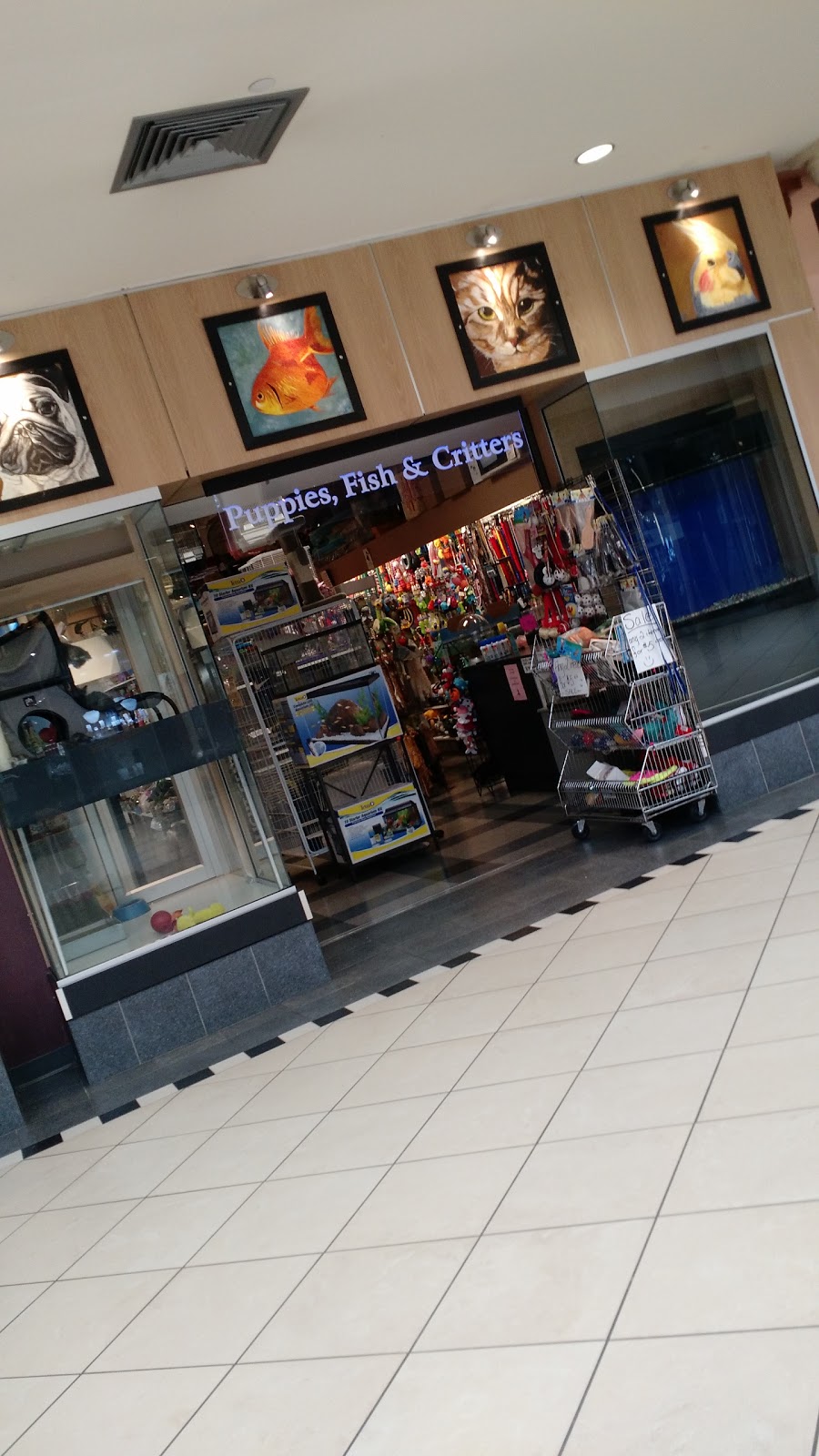 Puppies Fish & Critters | 7019 120 St, Delta, BC V4E 2A9, Canada | Phone: (604) 590-3727