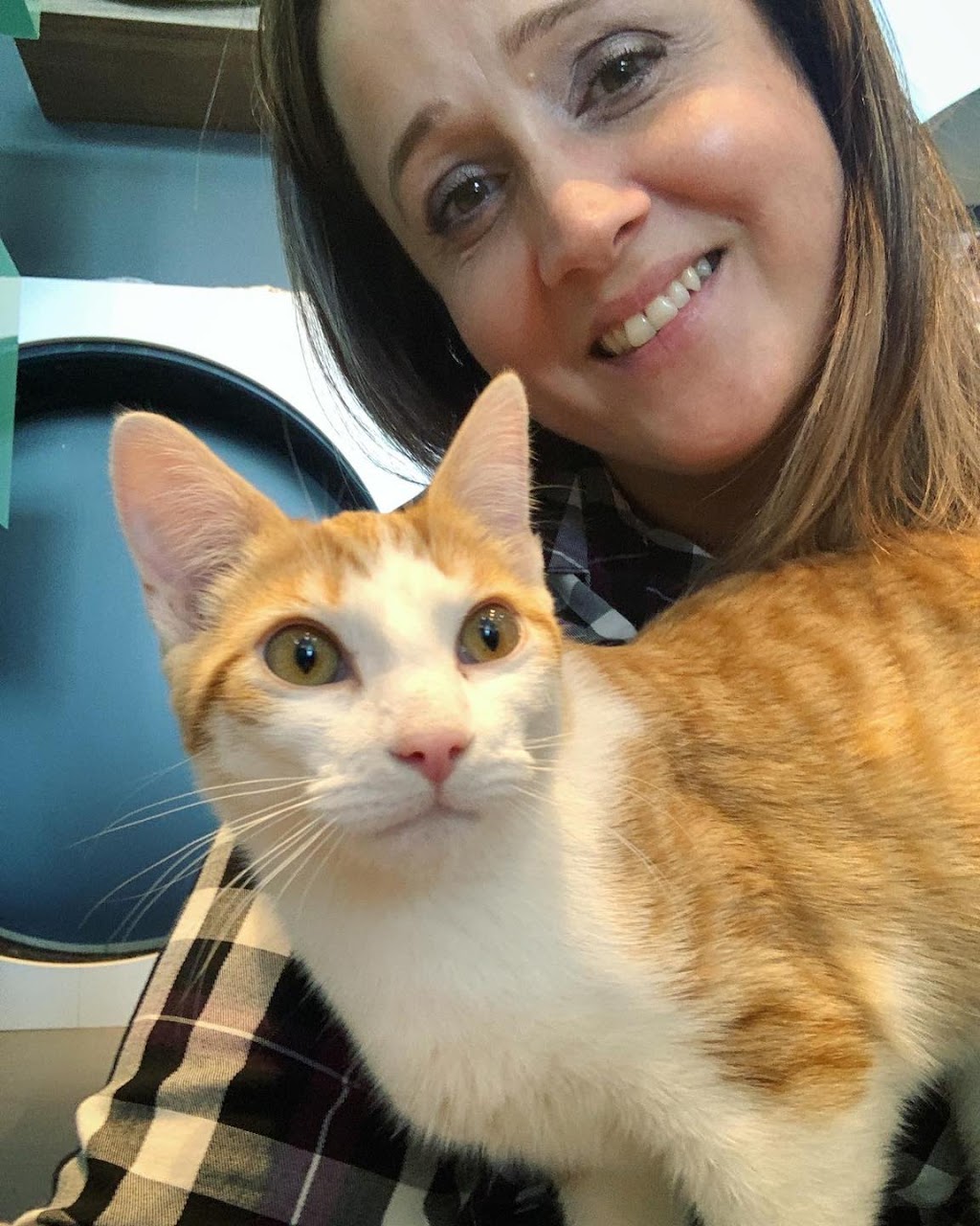 Société protectrice des animaux (SPA) Ville de Lévis | 8100 Rue du Blizzard, Charny, QC G6X 1C9, Canada | Phone: (418) 832-2525