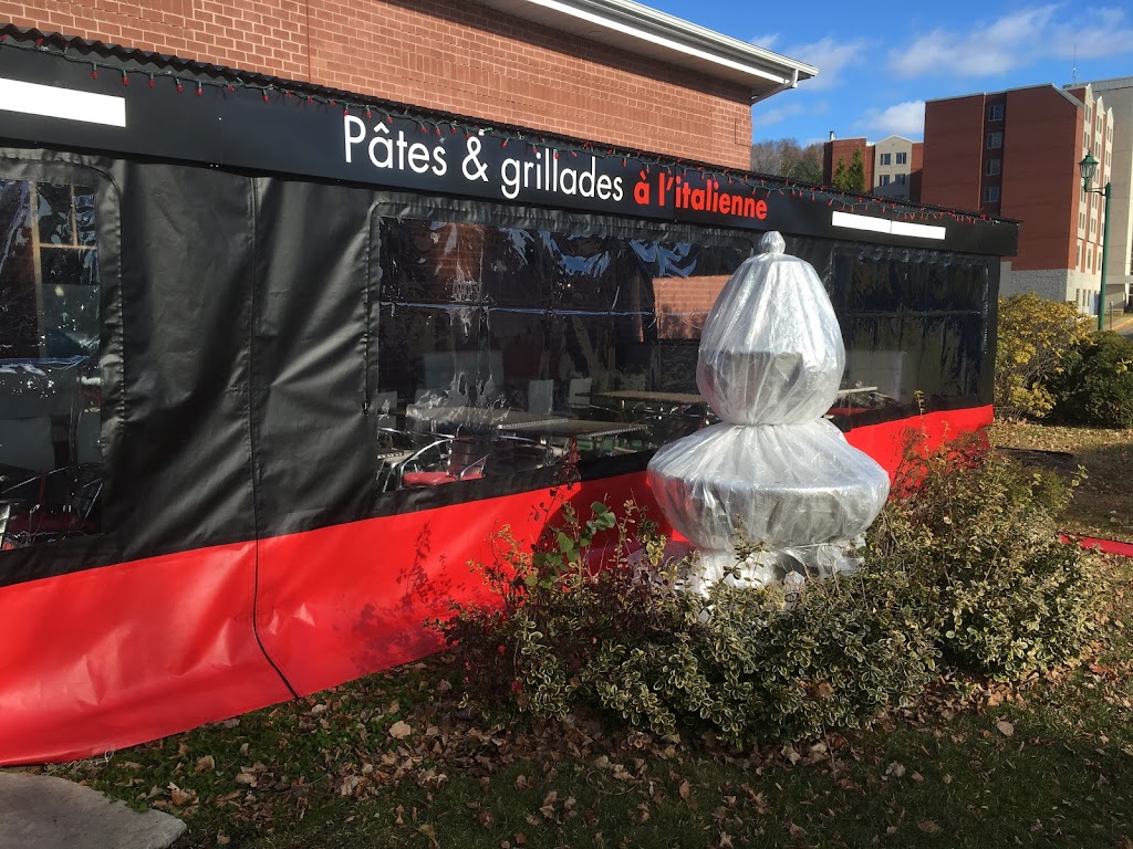 Répara-Toile Plus Inc. | 984 7e Avenue, Grand-Mère, QC G9T 2B8, Canada | Phone: (819) 533-5223
