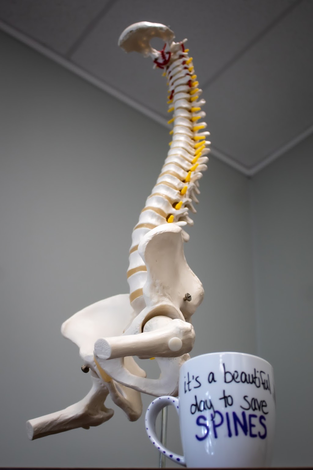 Trillium Family Chiropractic | 390 Flora St, Carleton Place, ON K7C 3M9, Canada | Phone: (613) 492-3000