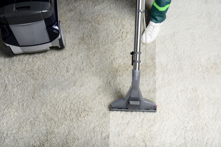 Calgary Carpet Cleaners | 76 Cornerstone Passage NE, Calgary, AB T3N 0Y5, Canada | Phone: (587) 604-9415