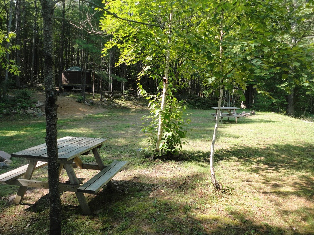 Mazinaw Lakeside Resort and Eatery | 17370 ON-41, Cloyne, ON K0H 1K0, Canada | Phone: (613) 900-9749