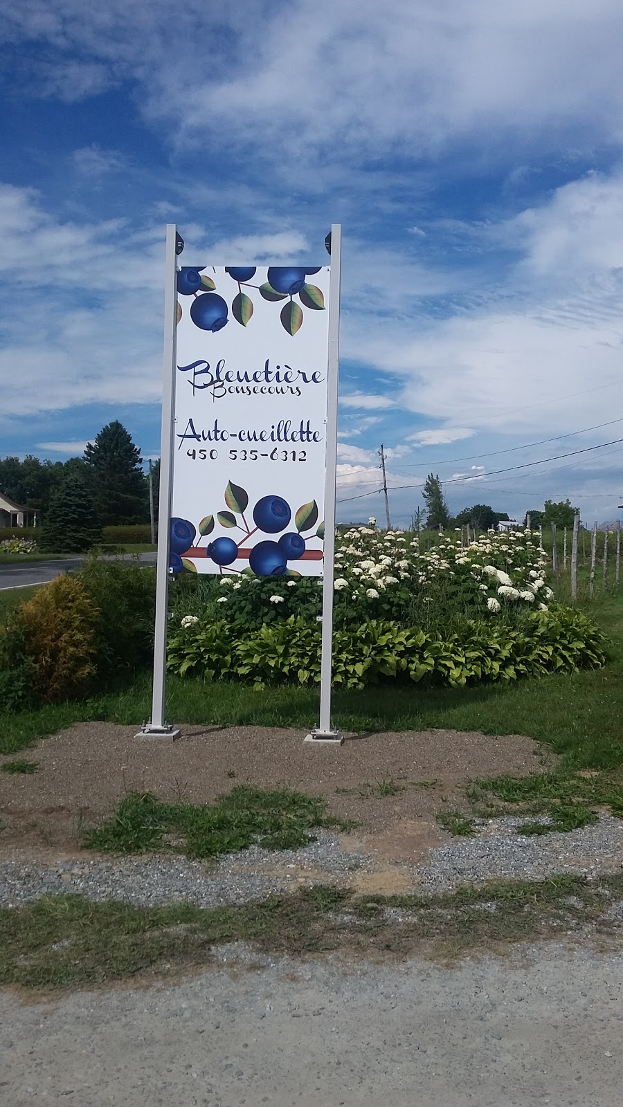 Bleuetière Bonsecours | 340 Rue de lÉglise, Bonsecours, QC J0E 1H0, Canada | Phone: (450) 535-6312