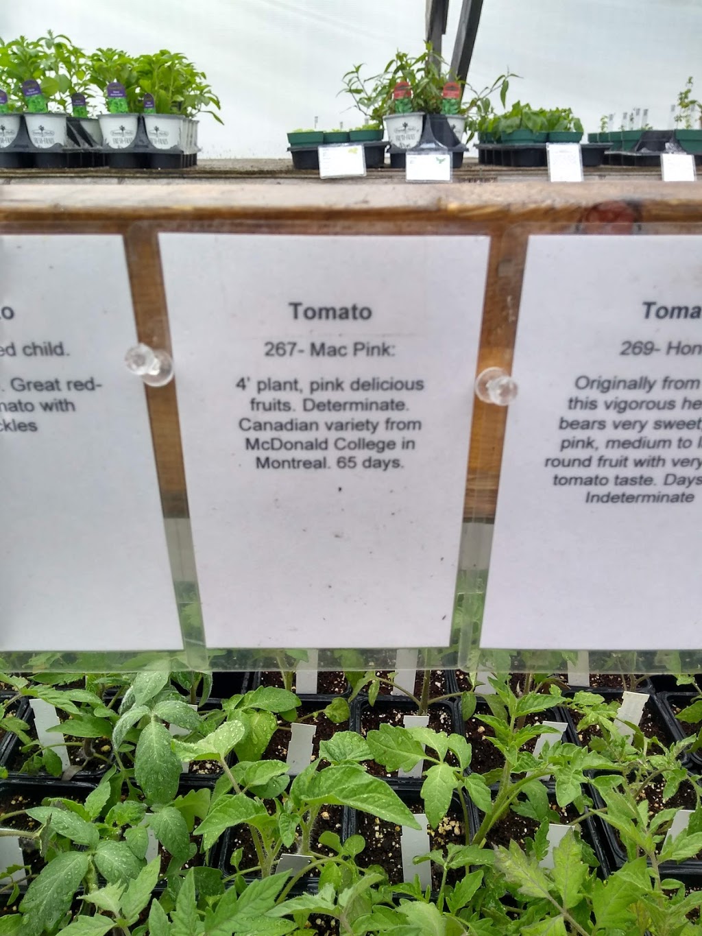 Gretas Organic Gardens | 399 River Rd, Gloucester, ON K1V 1C9, Canada | Phone: (613) 521-8648