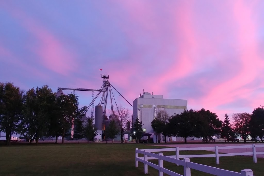 Floradale Feed Mill Limited | 2131 Floradale Rd, Floradale, ON N0B 1V0, Canada | Phone: (519) 669-5478