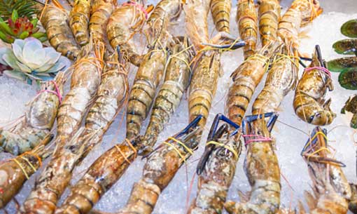 Newport Fish | 370 Alliance Ave, York, ON M6N 2H8, Canada | Phone: (416) 537-1278