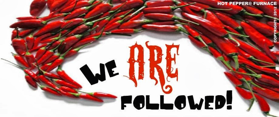 Hot Pepper Furnace and Duct Cleaning | 620 Coopers Square SW, Airdrie, AB T4B 0G7, Canada | Phone: (587) 880-1984