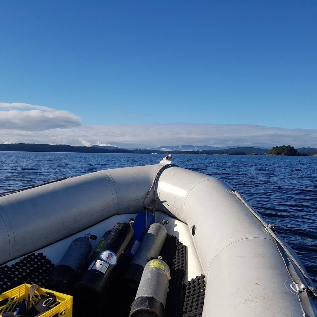 PJs Island and Sub Sea Retreat | 707 Downey Rd, North Saanich, BC V8L 5P8, Canada | Phone: (250) 208-4920