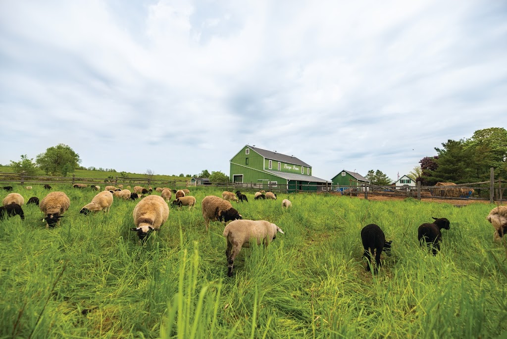 Thorpe Farms | 929 Simmons Rd, Odessa, ON K0H 2H0, Canada | Phone: (613) 539-3755