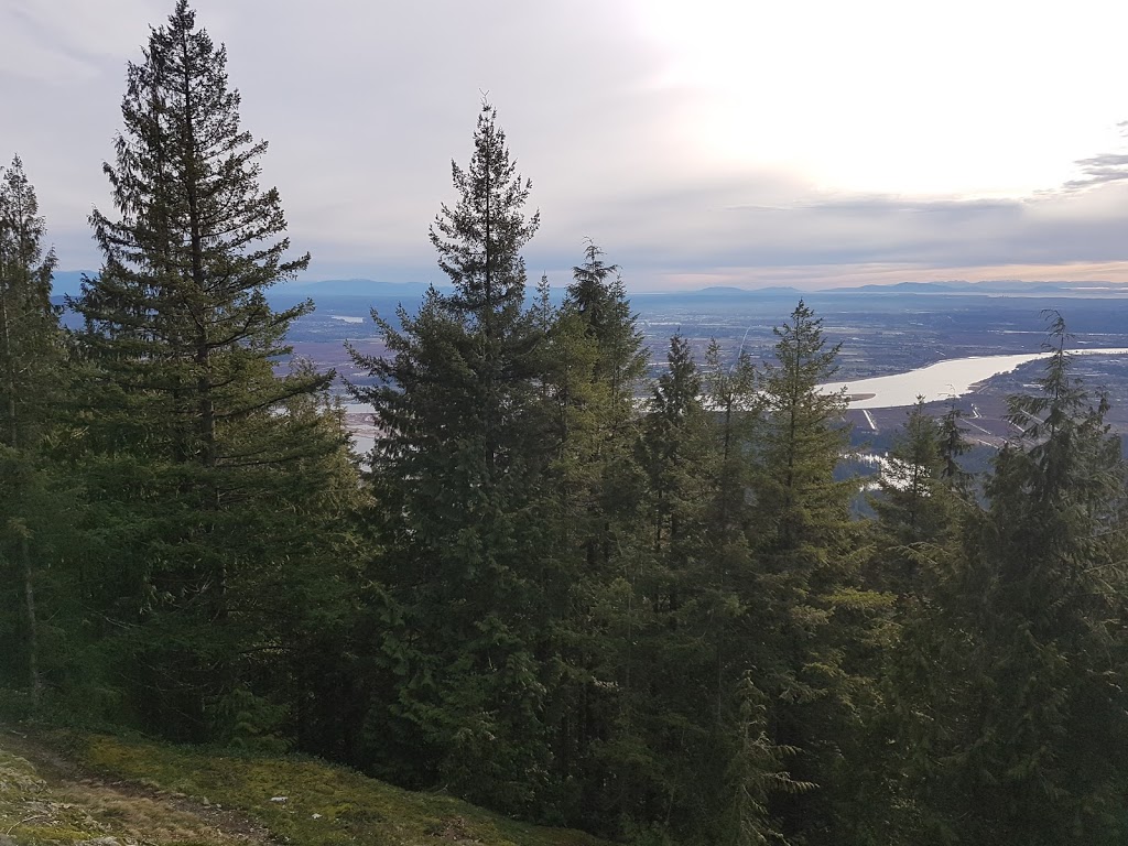 Munro Lake Trail | Munro, Lake Trail, Coquitlam, BC V3E 3H1, Canada