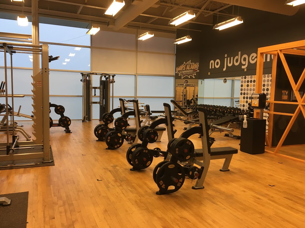 Fit4Less | 361 S Service Rd, Grimsby, ON L3M 4E8, Canada | Phone: (905) 309-0755