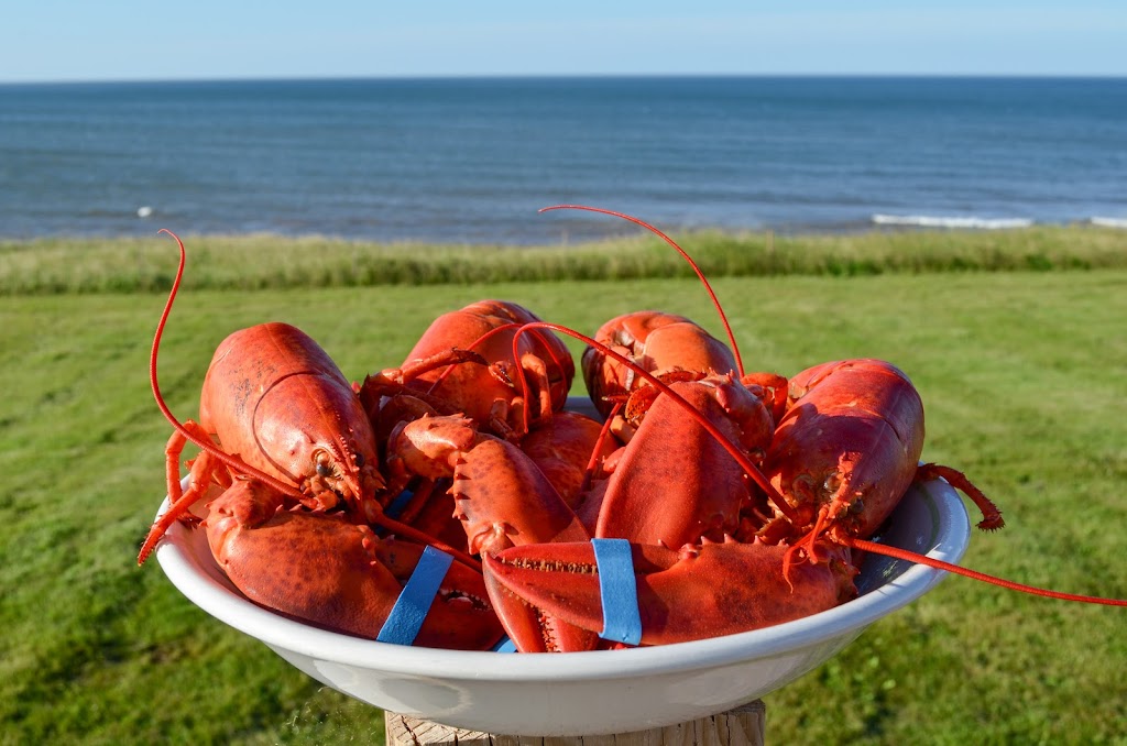 The Red Fox Campground | 157 Ling Rd, Oyster Bed Bridge, PE C1E 1Z3, Canada | Phone: (902) 916-1264
