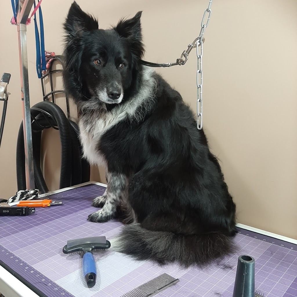 Loves Dogs - Grooming | 2073 High Country Rise, High River, AB T1V 0C9, Canada | Phone: (403) 336-2734