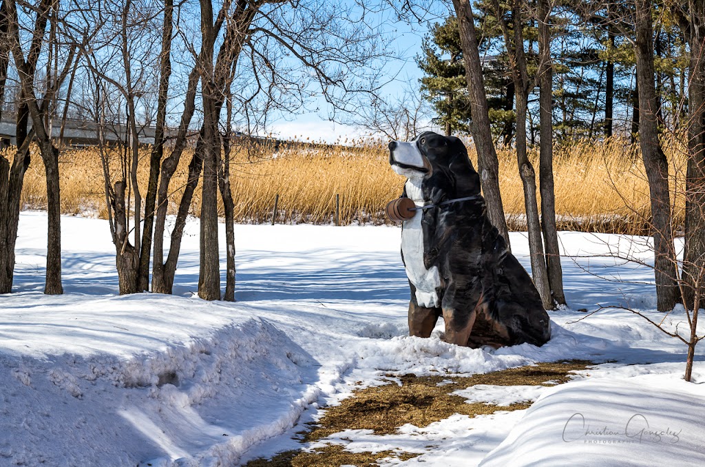 Center Canin Du Suroît | 1269 Rte Harwood, Vaudreuil-Dorion, QC J7V 8P2, Canada | Phone: (450) 455-3950