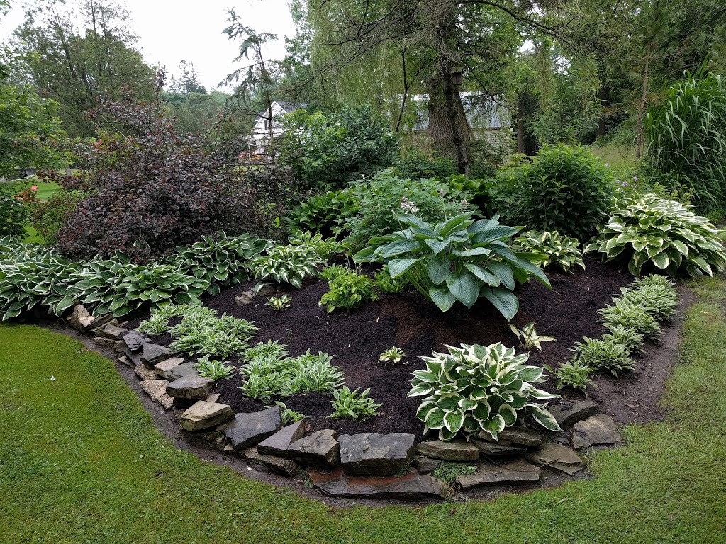 Hostas Anytime | 16 McAllister Dr, Bloomingdale, ON N0B 1K0, Canada | Phone: (519) 576-9407