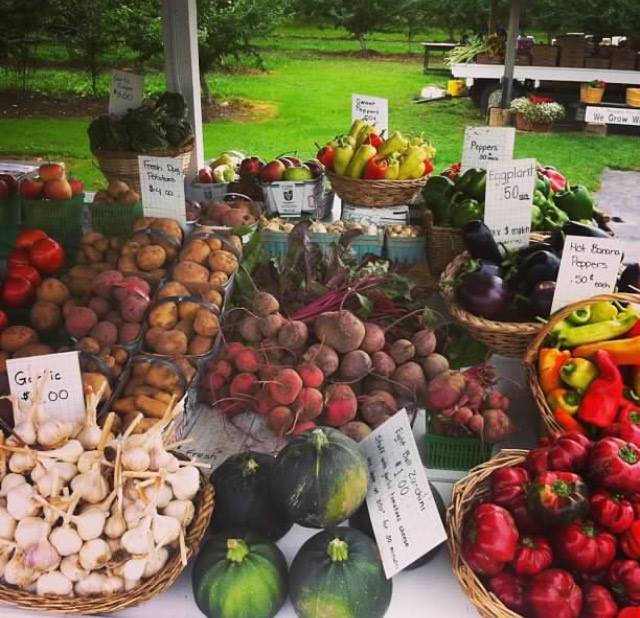 Quiet Acres | 672 Lakeshore Rd, Niagara-on-the-Lake, ON L0S 1J0, Canada | Phone: (905) 651-4232
