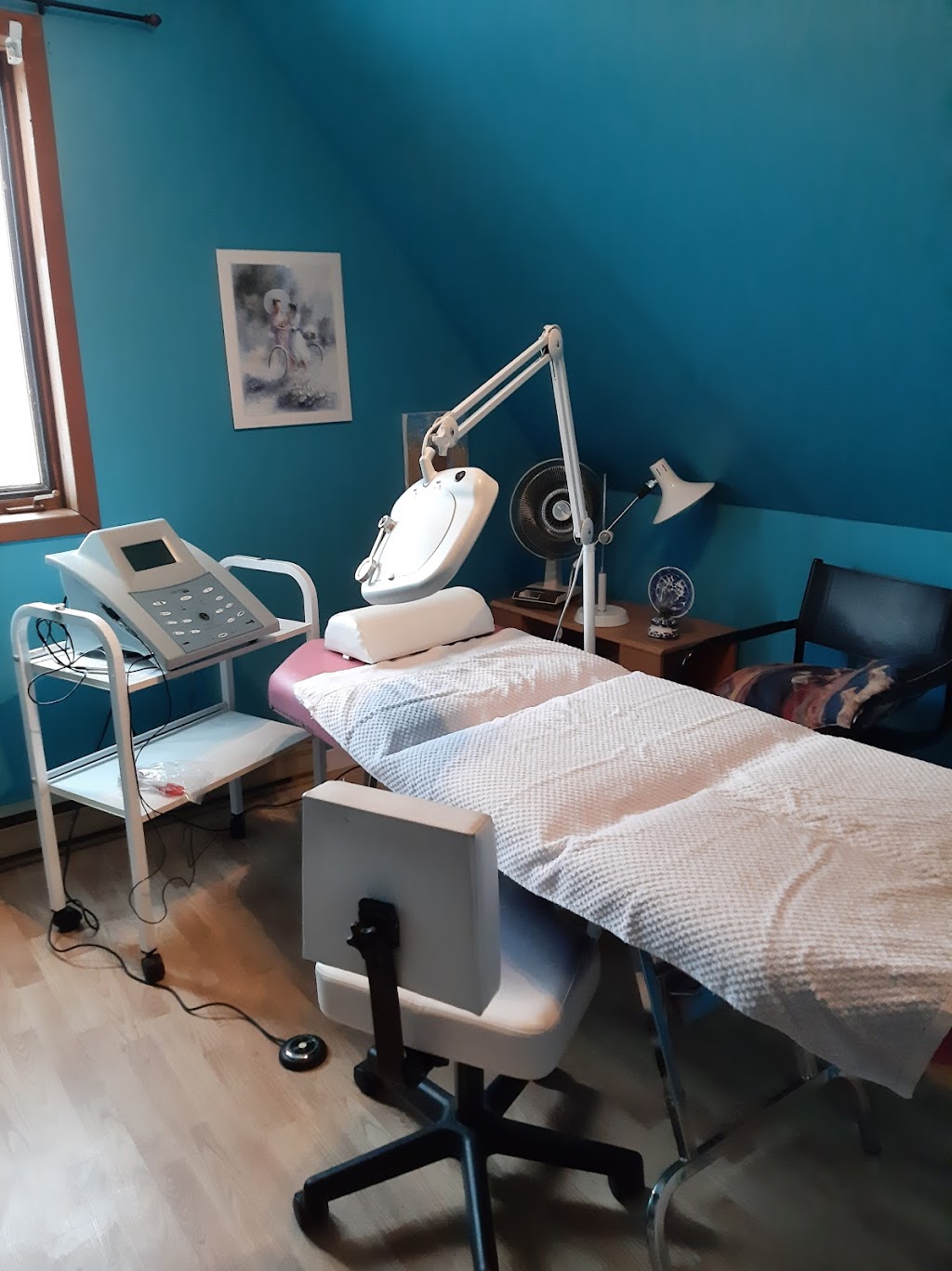 Salon delectrolyse Lucie Houle Trudel | 136 Rue du Mil, Saint-Augustin-de-Desmaures, QC G3A 2S4, Canada | Phone: (418) 878-3798