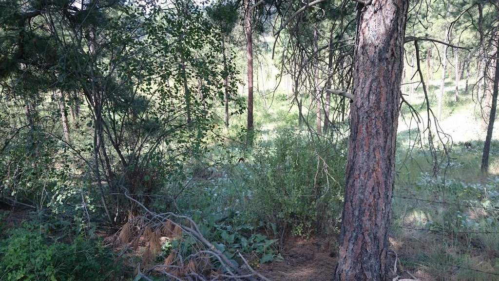Quail Ridge Linear Park | Kelowna, BC V1V 2S4, Canada | Phone: (250) 717-2757