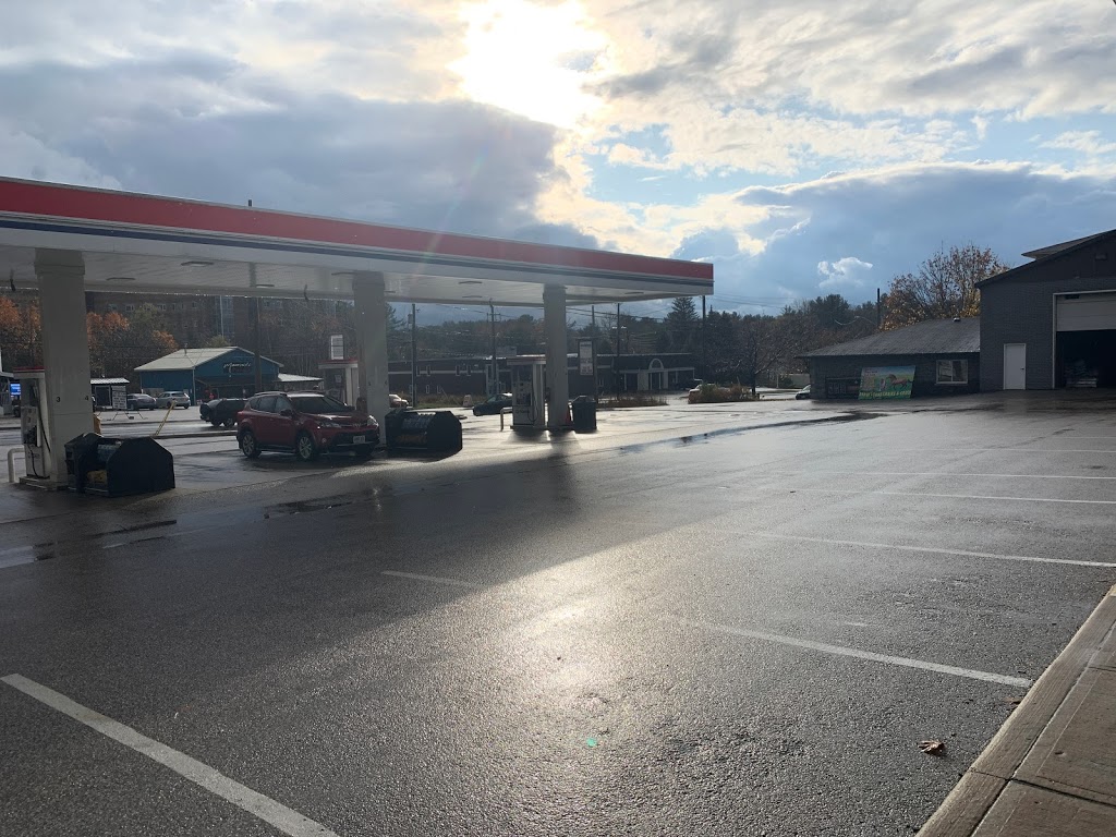 Pioneer | 80 Bowes St, Parry Sound, ON P2A 2L7, Canada | Phone: (705) 746-2387