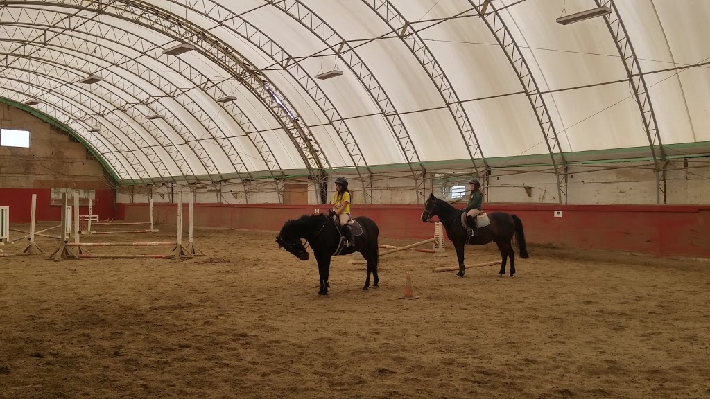 Northside Stable | 1136 Devon Rd, Coquitlam, BC V3E 3H8, Canada | Phone: (604) 765-3671