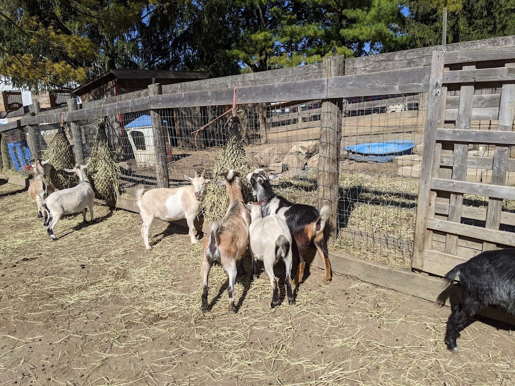 Triple C Farm | 500 Carluke Rd W, Ancaster, ON L9G 3L1, Canada | Phone: (289) 237-9526