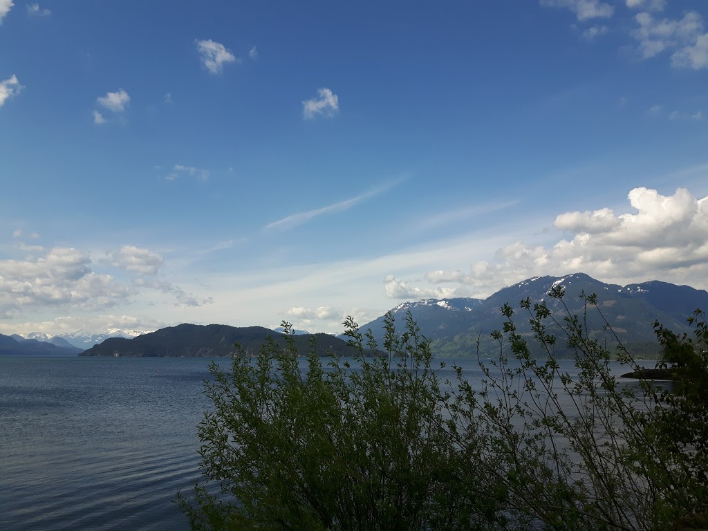 Harrison Village Mall | 101 Hot Springs Rd, Harrison Hot Springs, BC V0M 1K0, Canada