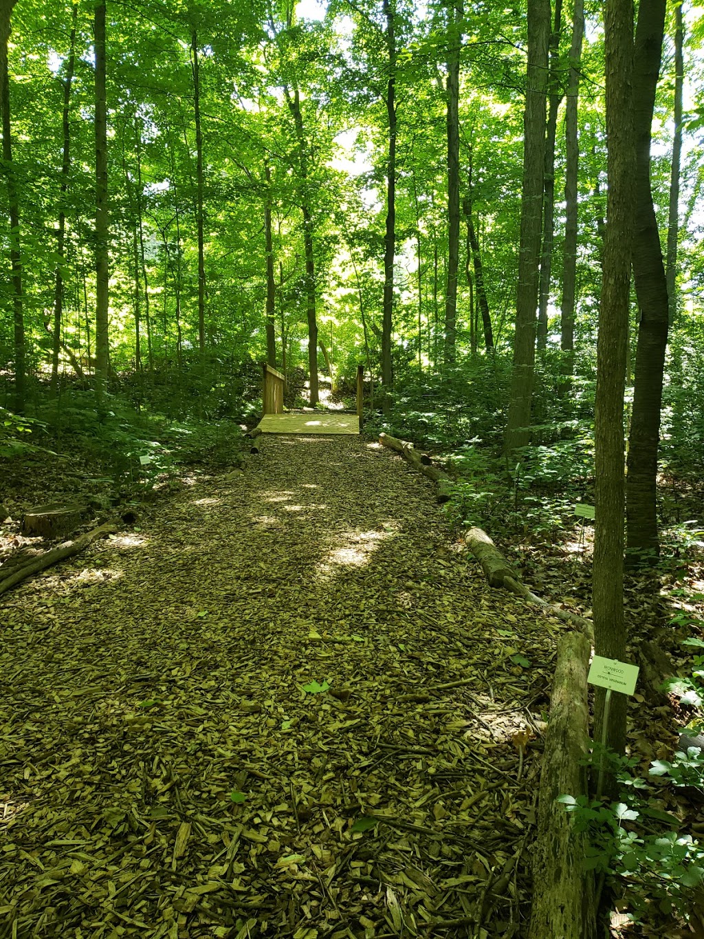 Springbank Gardens Community Centre | 205 Wonderland Rd S, London, ON N6K 3T3, Canada | Phone: (519) 661-5575