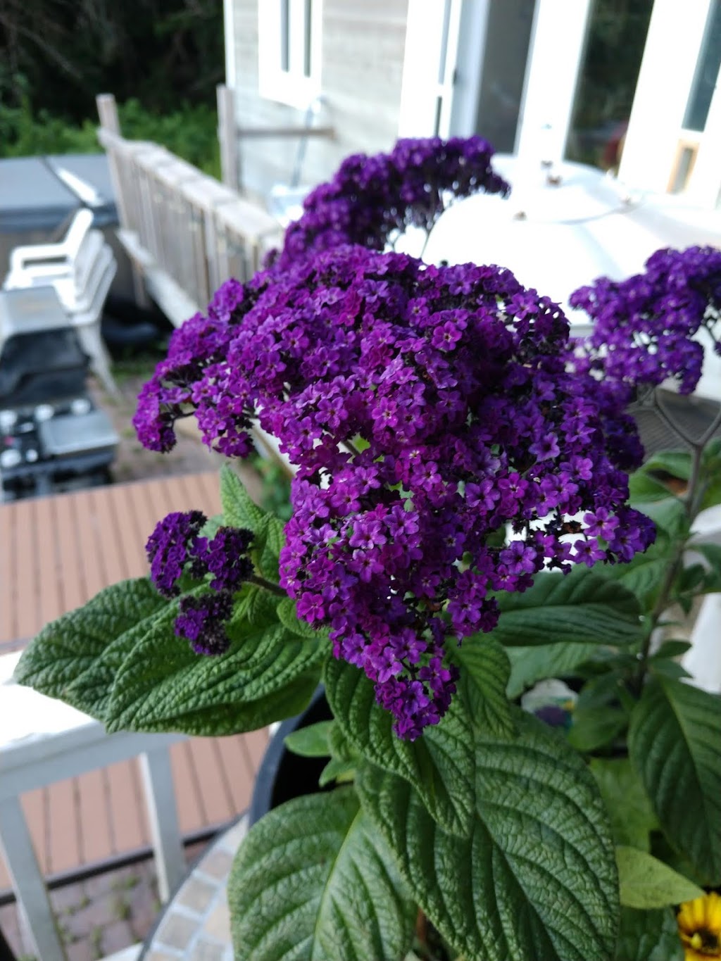 Madoc Garden Center | 13 Concession Rd, Madoc, ON K0K 2K0, Canada | Phone: (613) 473-0009