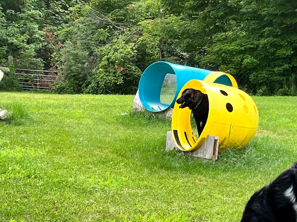 Dream Acres Pet Resort | 355 Bowland Rd, Clayton, ON K0A 1P0, Canada | Phone: (613) 256-0687