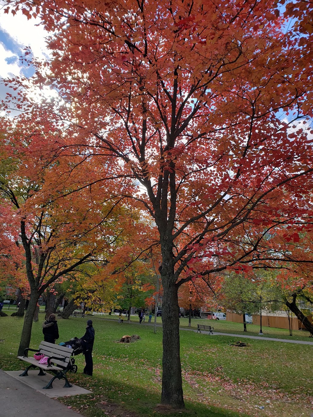 Woburn Park | Woburn Park, Toronto, ON M5M 1M2, Canada | Phone: (416) 338-4386
