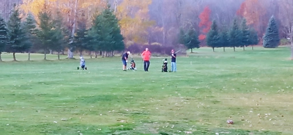 West Highland Golf Course | 177 Atkinson Rd, Madoc, ON K0K 2K0, Canada | Phone: (613) 473-3880