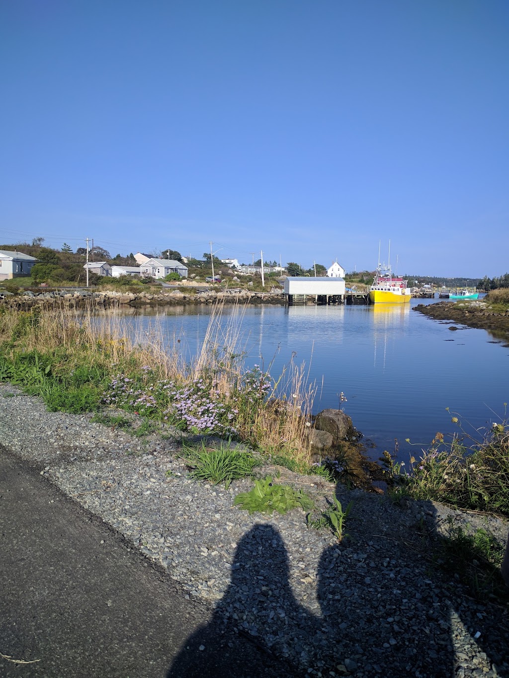 Ocean View Fisheries Ltd | 19 Lennys Ln, Sambro, NS B3V 1L5, Canada | Phone: (902) 479-0235