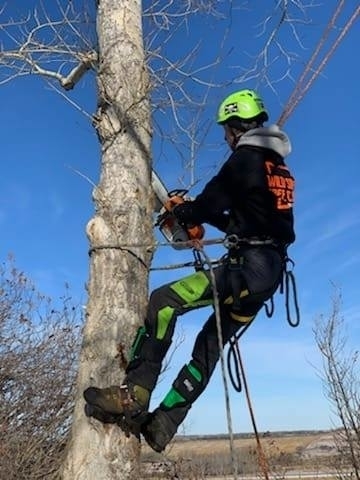 Wild Side Tree Care | 1724 Douglas Glen Grove SE, Calgary, AB T2Z 3A6, Canada | Phone: (587) 575-3474