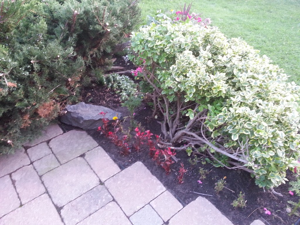 Marshalls Maintenance | Innisfil Beach Rd, Innisfil, ON L9S 1T7, Canada | Phone: (705) 305-5310
