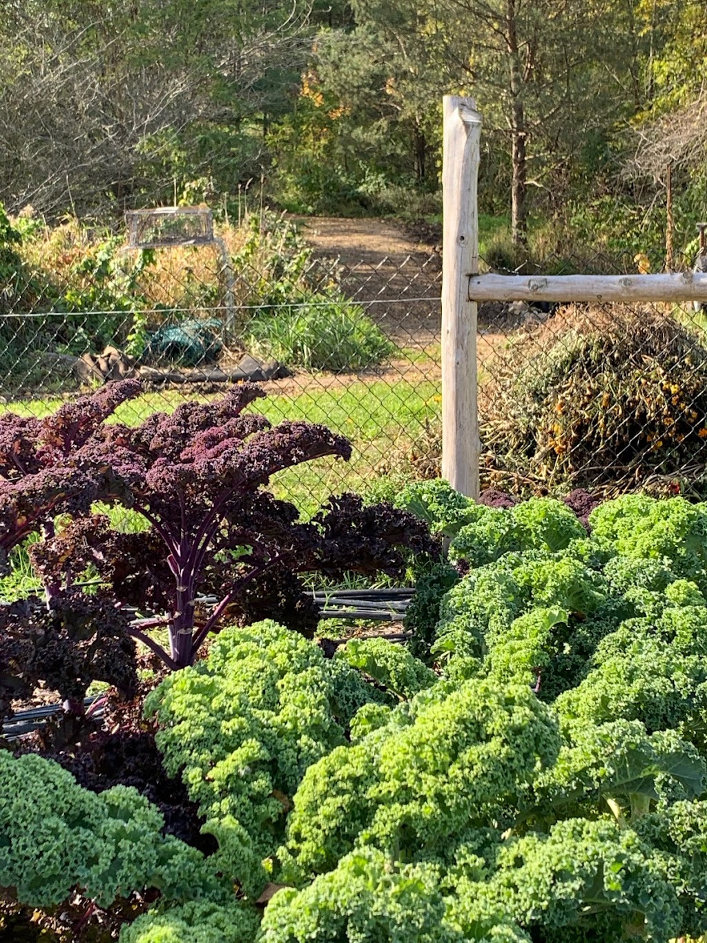 Muddy Creek Farm | 1287 Queens Bush Rd, Wellesley, ON N0B 2T0, Canada | Phone: (519) 781-3186