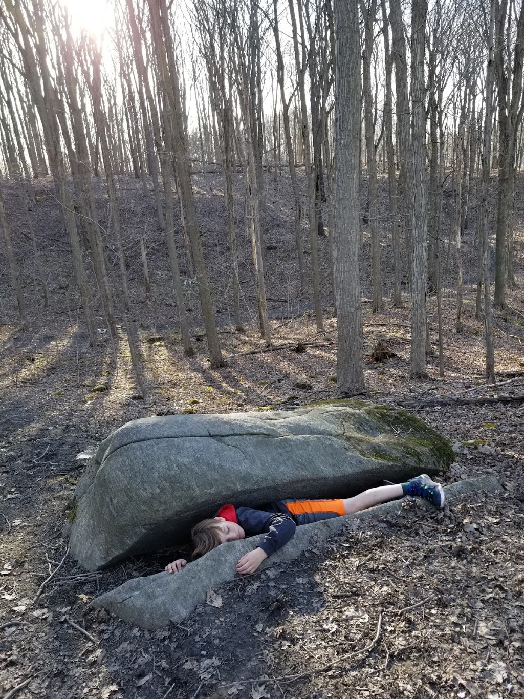 Sudden Tract | 1841 Spragues Rd, Cambridge, ON N1R 5S5, Canada